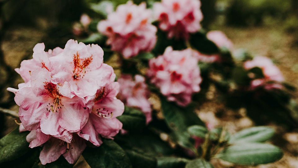 blog 5
